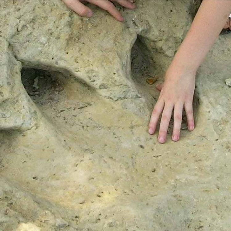 See the enormous dinosaur tracks in the river bed.
